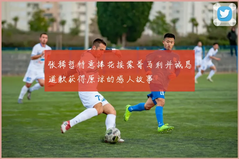 张稀哲特意捧花接蒙哥马利并诚恳道歉获得原谅的感人故事