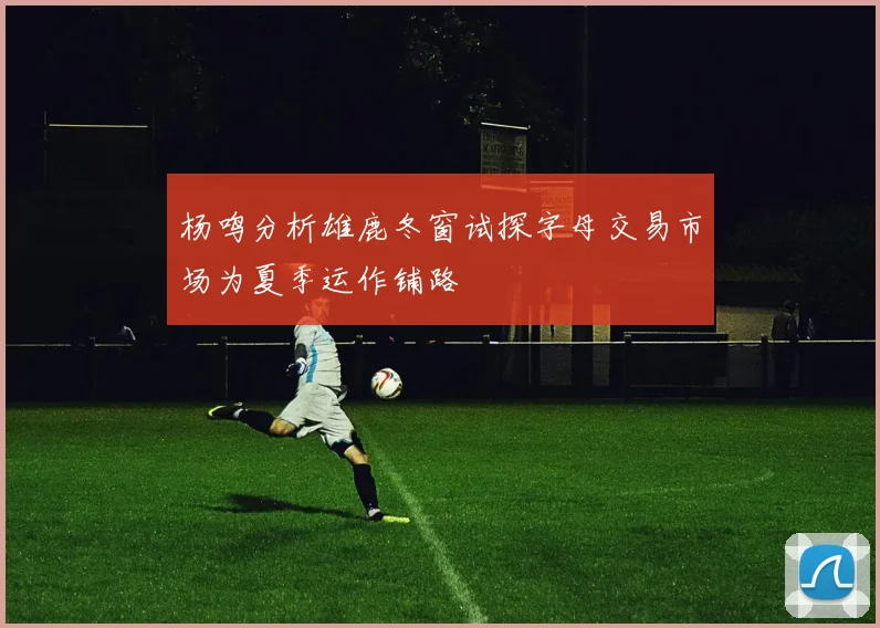杨鸣分析雄鹿冬窗试探字母交易市场为夏季运作铺路