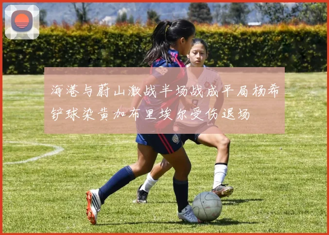 海港与蔚山激战半场战成平局杨希铲球染黄加布里埃尔受伤退场