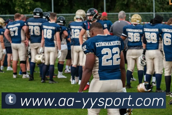 易游体育APP 封面图